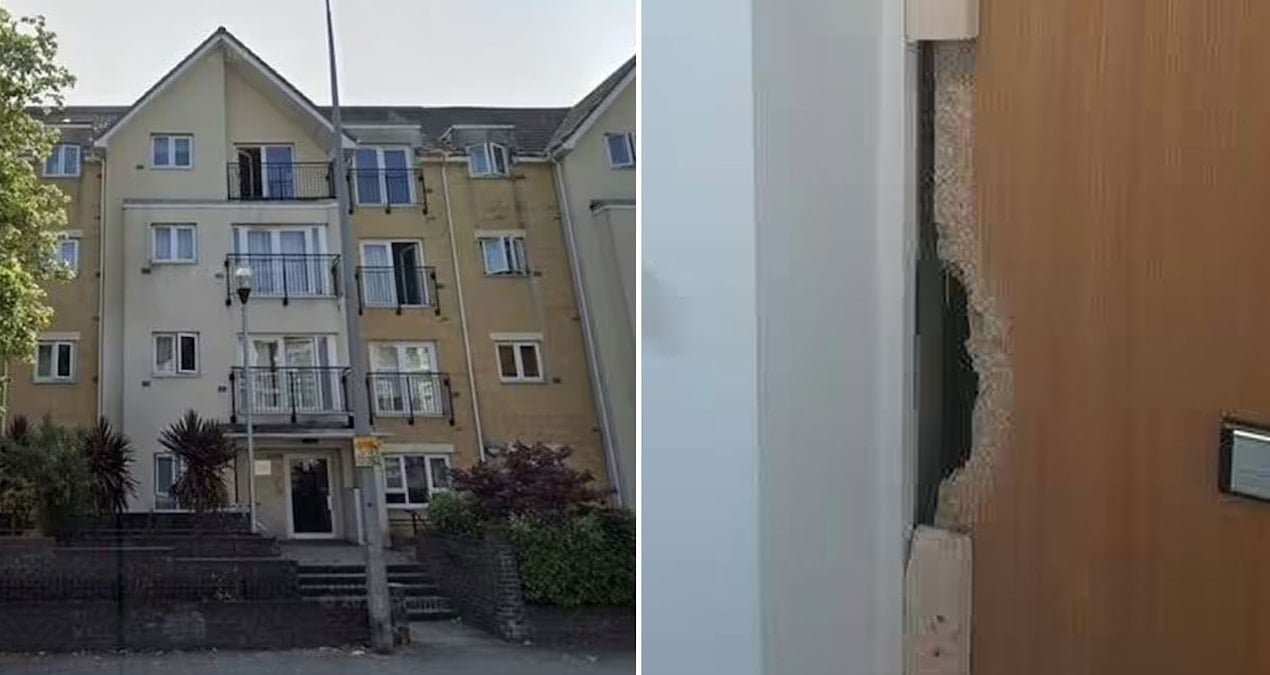 Apartmandaki kokunun kaynağını öğrendiklerinde dehşete düştüler